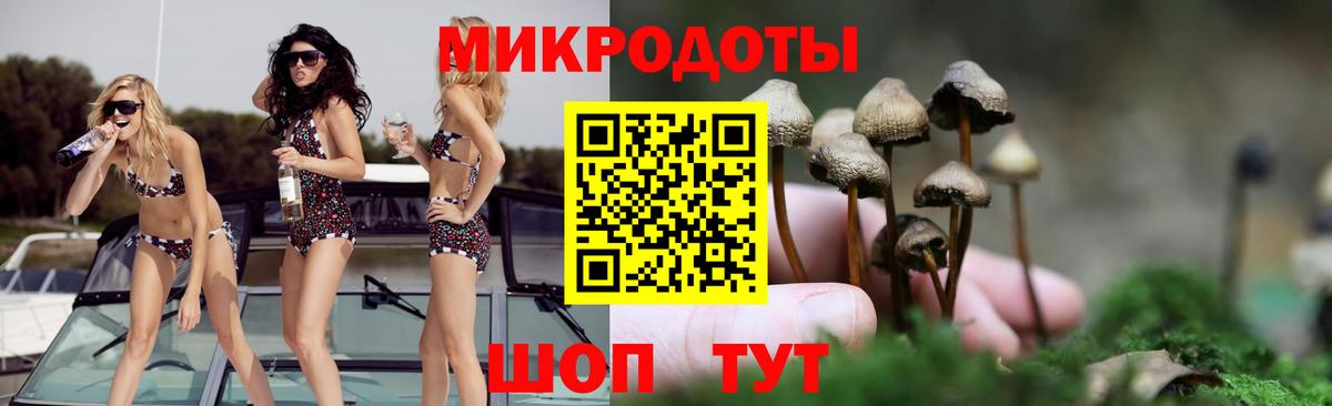 Галлюциногенные грибы ЛСД Тула